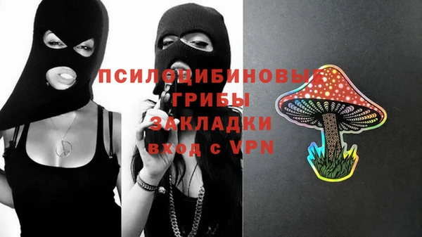 спайс Белокуриха