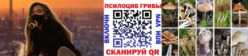 мориарти официальный сайт  Лысково  Галлюциногенные грибы мицелий 